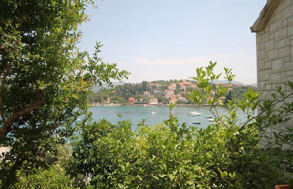 Apartments Tereza Donje Celo Dış mekan fotoğraf