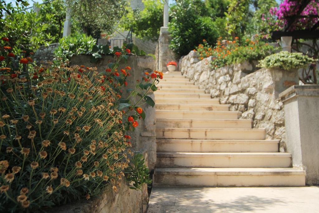Apartments Tereza Donje Celo Dış mekan fotoğraf