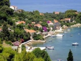 Apartments Tereza Donje Celo Dış mekan fotoğraf