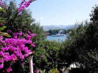 Apartments Tereza Donje Celo Dış mekan fotoğraf